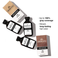 Thumbnail for Wella Colorcharm Permanent Liquid Hair Color 10N Satin Blonde 1.42 fl. oz. - Elevate Styles