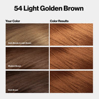 Thumbnail for Revlon Colorsilk Permanent Hair Color 54 Light Golden Brown - Elevate Styles