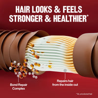 Thumbnail for Revlon Colorsilk Permanent Hair Color 54 Light Golden Brown - Elevate Styles
